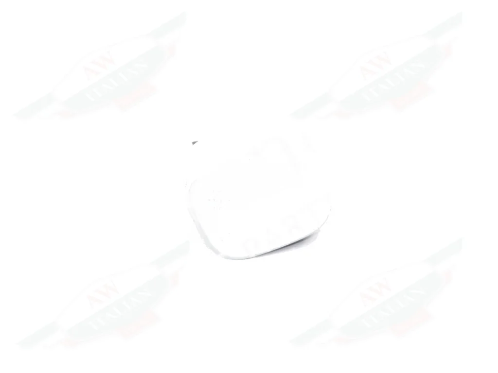 Ferrari RH Cover - 82767010