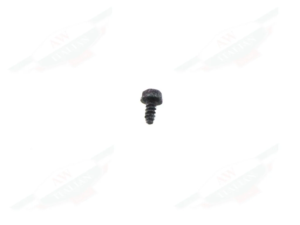 Ferrari Screw - 829172