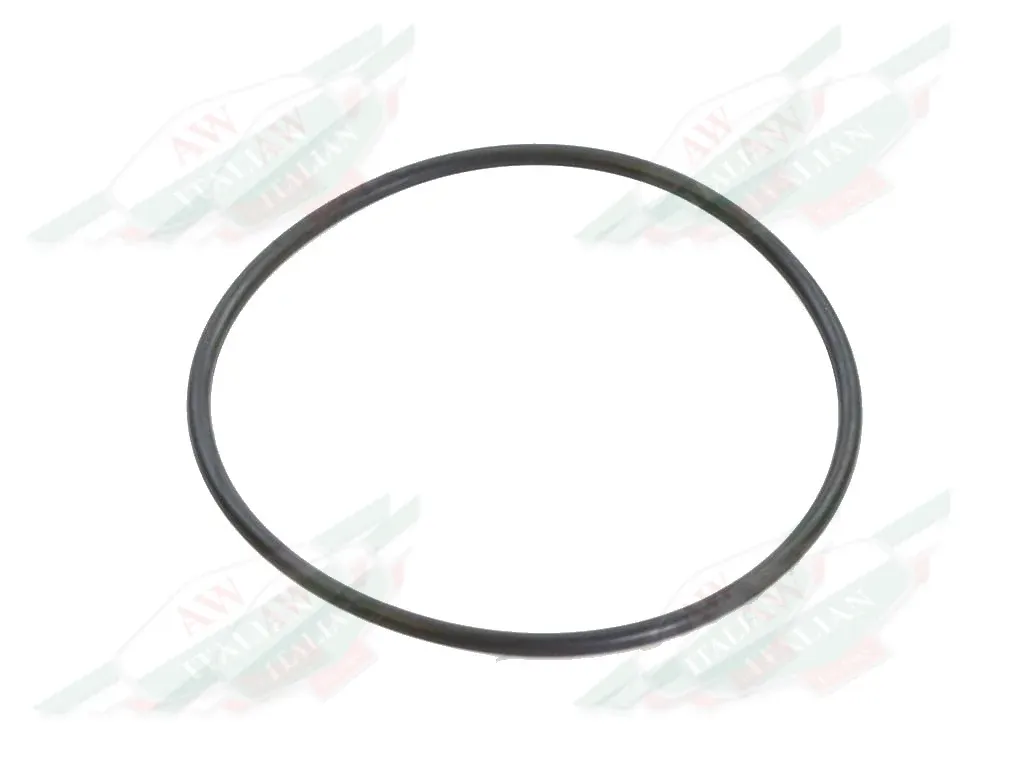 Ferrari O-Ring - 95860086