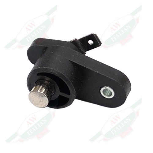 Ferrari Courtesy Light Switch - 143331