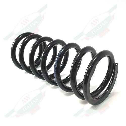 Ferrari Rear Road Spring - 151882