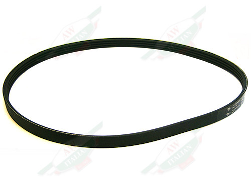 Ferrari Alternator Belt - 156329