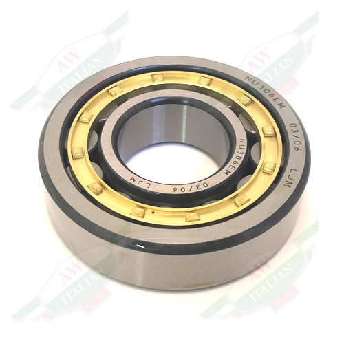 Ferrari Roller Bearing - 156472