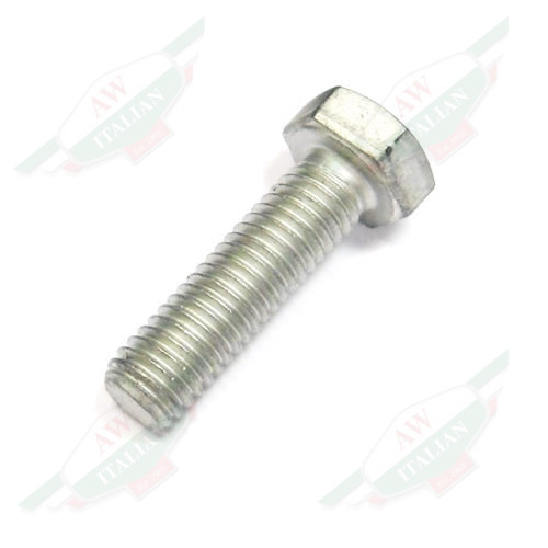 Ferrari Screw - 16043724