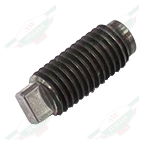 Ferrari Tappet Screw - Short - 16486
