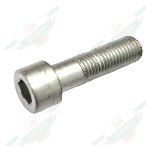 Ferrari Allen Screw M10 x 1.25 x - 170950