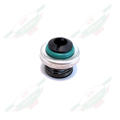 Ferrari Check Valve - 294614