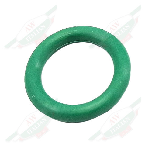 Ferrari O-Ring - 66309700