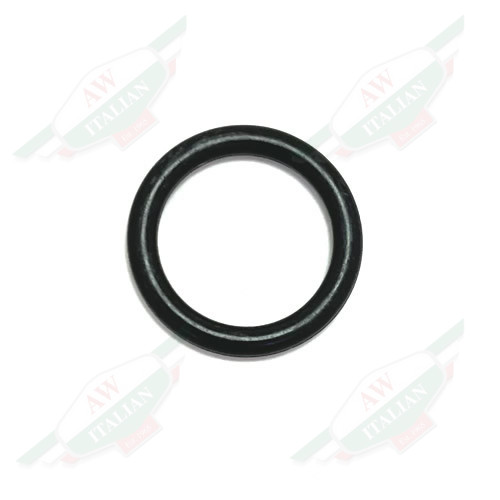 Ferrari O-Ring - 95860010